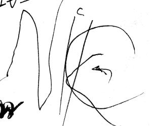 Niko's signature